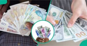 Read more about the article IMF Reveals Naira’s True Value Against USD as Nigerian Currency Strengthens After FX Reforms